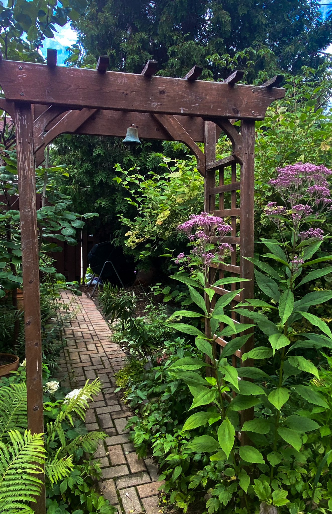 Purple Flowers and Patio Archway