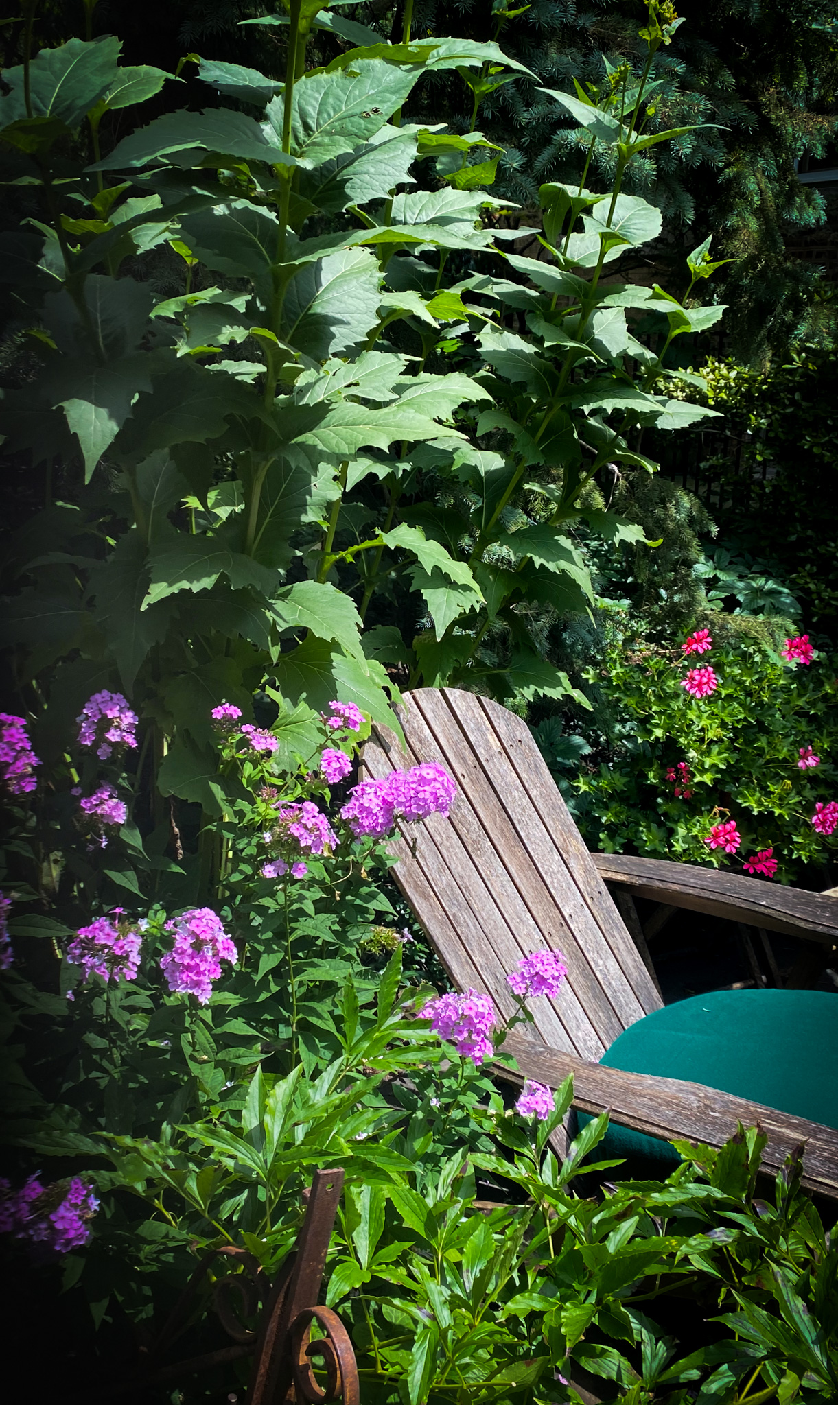 Chair with Purple and Red Flowers